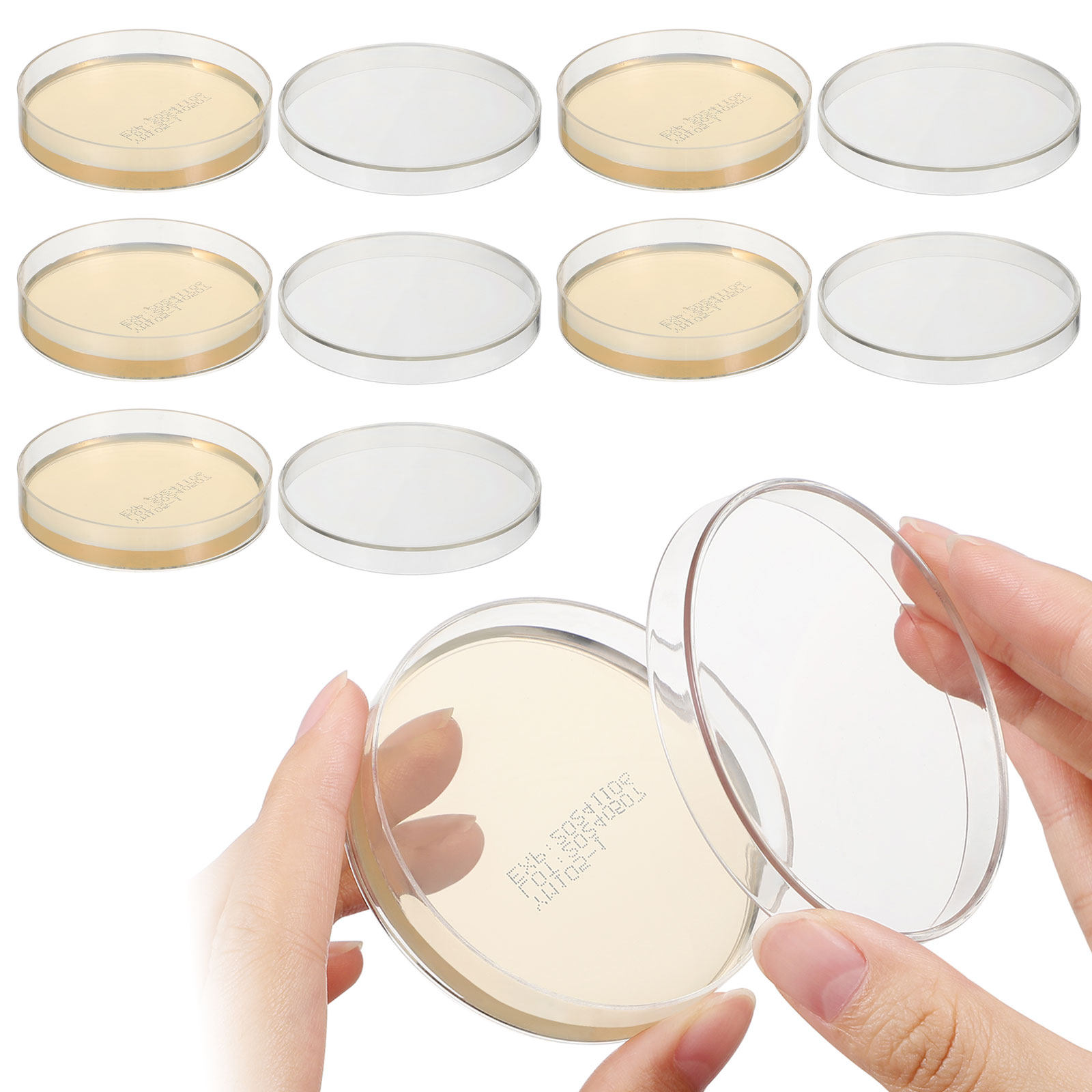 Agar Plates 10pcs Ready to Use - огляд і ціна Science Experiment