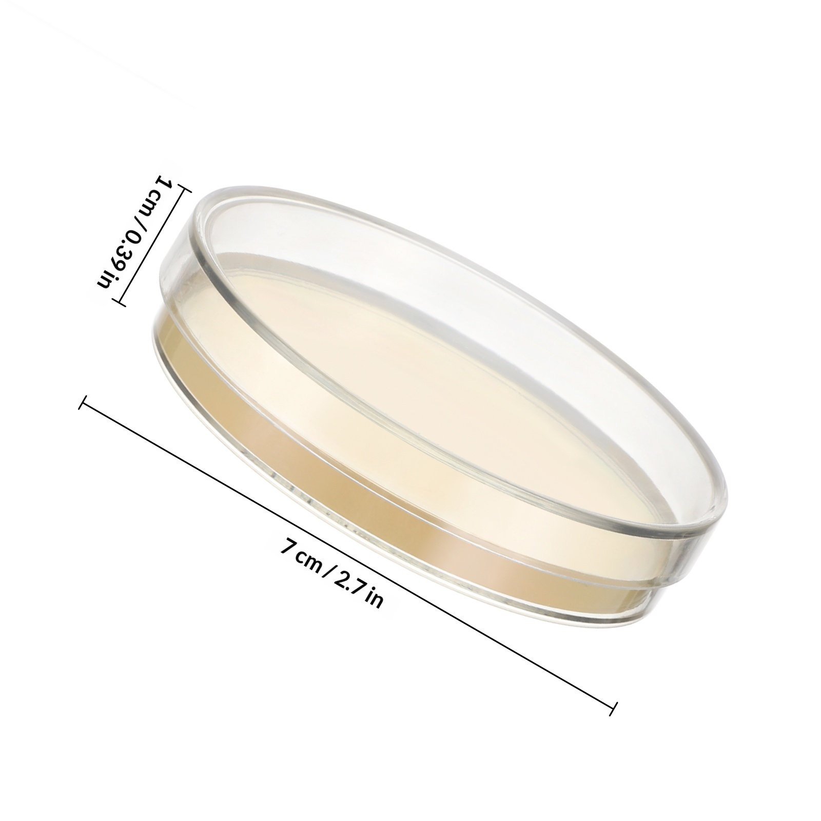 Agar Plates 10pcs Ready to Use - огляд і ціна Science Experiment