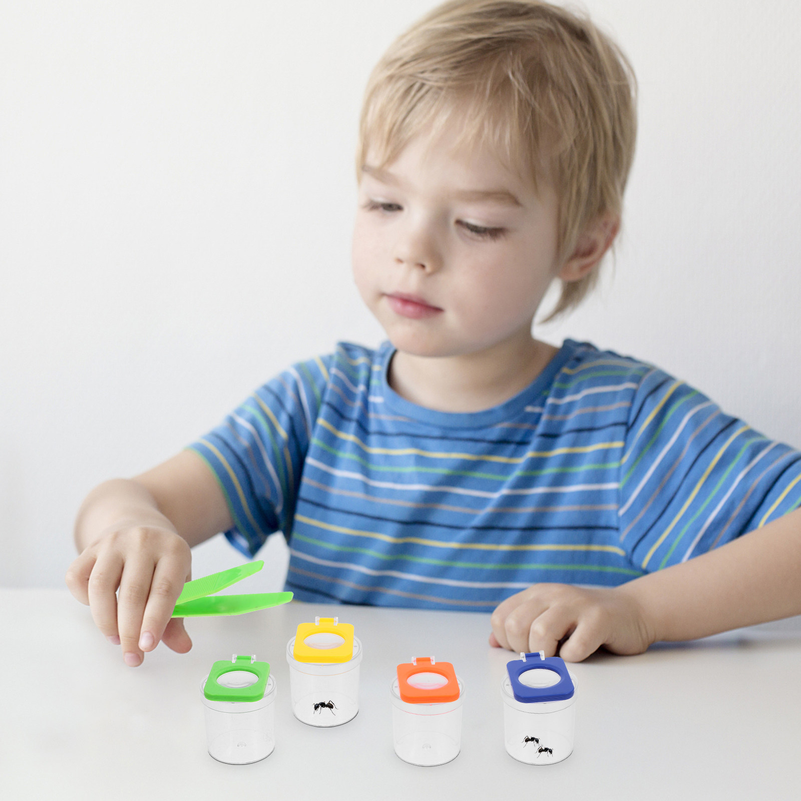 8Pcs Bug Observation Container - огляд і ціна Science Nature