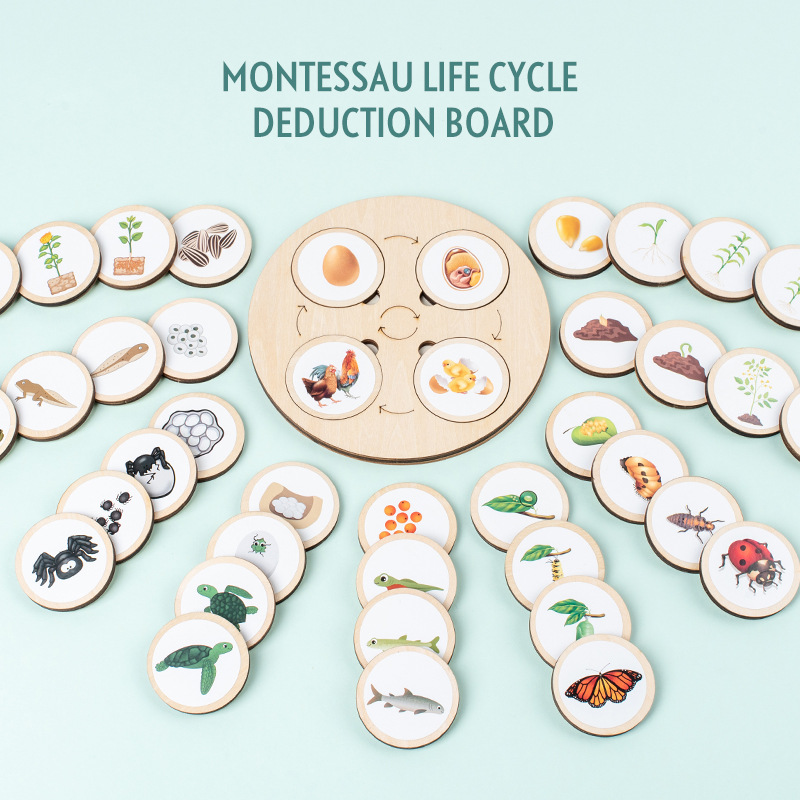 Life Cycle Board Montessori Ki - огляд і ціна Science Nature