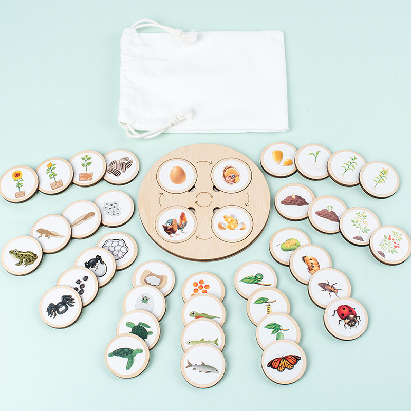 Life Cycle Board Montessori Ki - огляд і ціна Science Nature