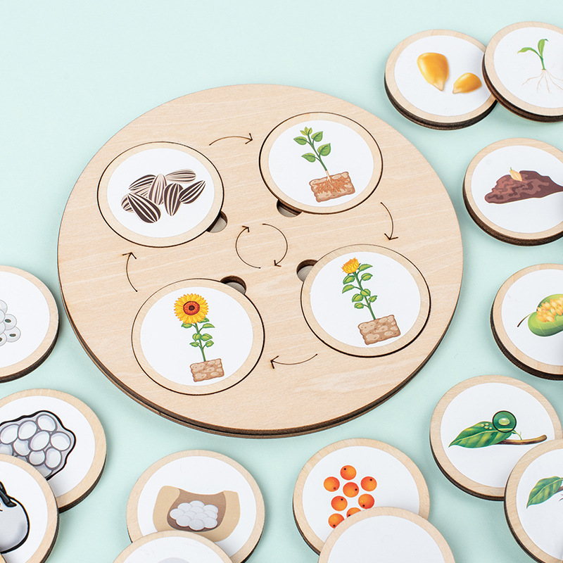 Life Cycle Board Montessori Ki - огляд і ціна Science Nature