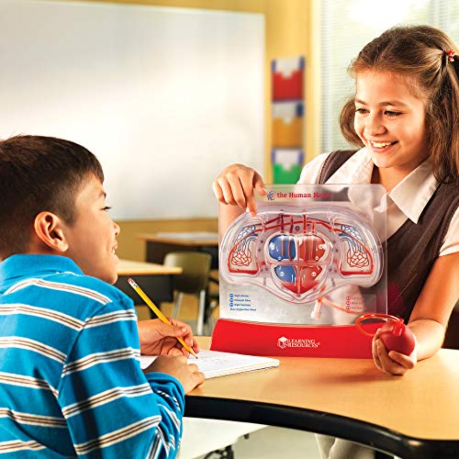 Science classroom STEM anatomy - огляд і ціна Science Nature