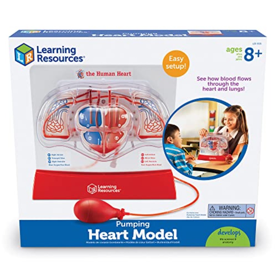 Science classroom STEM anatomy - огляд і ціна Science Nature